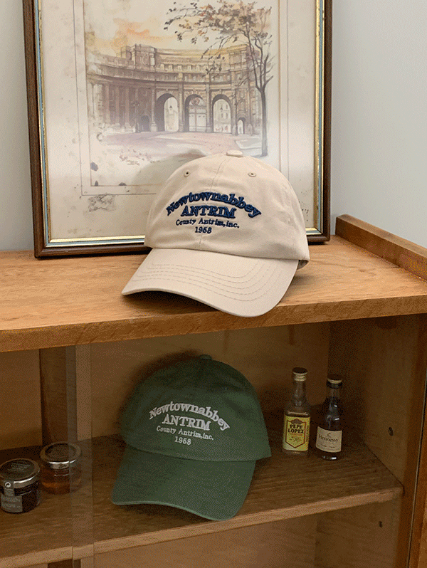 뉴타운 레터링 볼캡 - hat(6color)로빈유